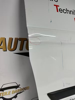 Ford Transit Tourneo Custom Schiebetür Tür